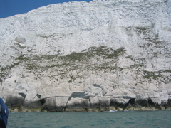 heading for the cliffs.. how close can we get?  Carole!?