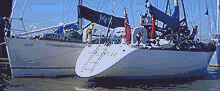  Forum Index